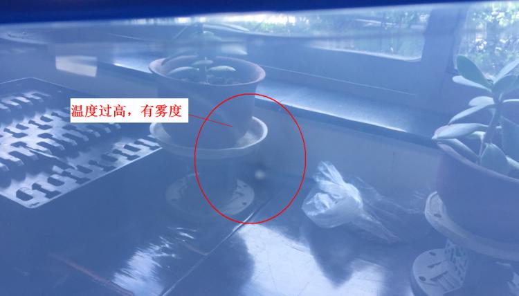 注塑制品质量缺陷分析（六）造成制品表面有雾度的主要原因是什么？